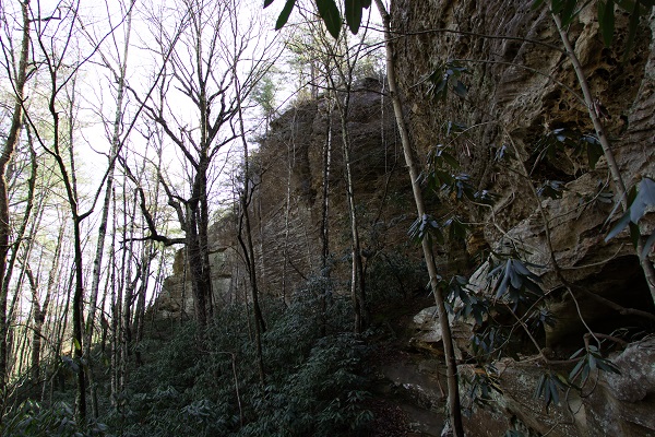 Cliffs in a forest